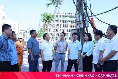 Khảo sát hoạt động kinh doanh bán lẻ điện của hợp tác xã ở Thiên Cầm