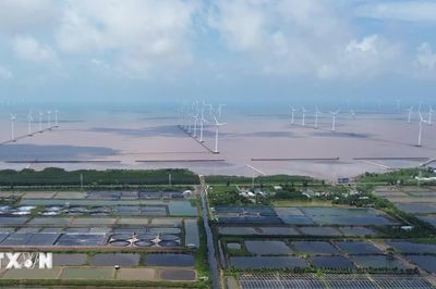 Cà Mau: Phê duyệt chủ trương đầu tư dự án điện gió vốn đầu tư gần 5.000 tỷ đồng