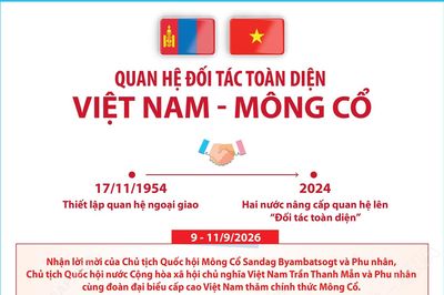 Quan hệ Đối tác toàn diện Việt Nam - Mông Cổ