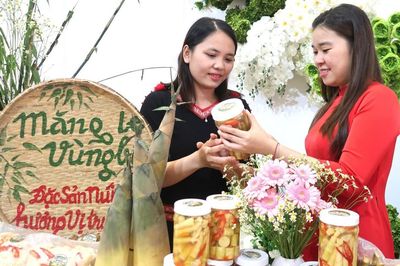 Đồng Nai: 7 ý tưởng, dự án tranh tài ở vòng Chung kết cuộc thi phụ nữ khởi nghiệp 2026