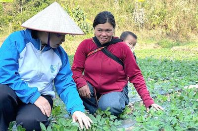 Lai Châu: 80% hội viên, phụ nữ được tuyên truyền, nâng cao nhận thức về khởi nghiệp, phát triển kinh tế