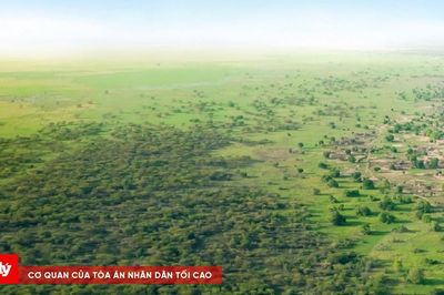 Bức Tường Xanh Vĩ Đại: Hành trình hồi sinh vùng đất dài 8.000 km