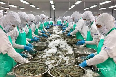 Doanh nghiệp Việt làm gì để vào sâu chuỗi cung ứng Nhật Bản?