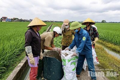 Hội Nông dân Thiệu Tiến chung sức vì môi trường xanh
