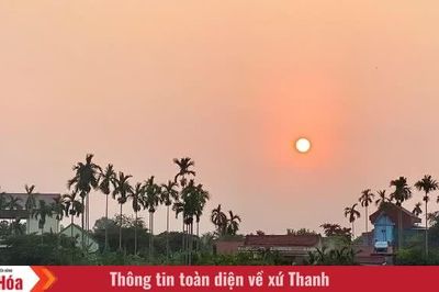 Mùa cau gọi ký ức về