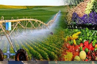 Đề xuất 18 lĩnh vực nông nghiệp môi trường người có chức vụ không được lập doanh nghiệp sau thôi chức