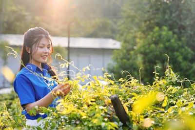 Trải nghiệm miền sâm núi Dành