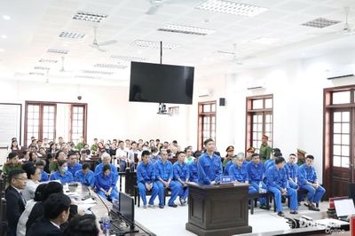 Sai phạm về kết luận giám định tâm thần: Các bị cáo thừa nhận hành vi phạm tội