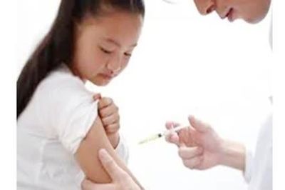 Chủ động phòng ngừa bệnh dại