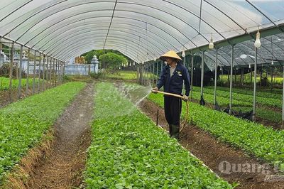 Học nghề ngắn hạn, nông dân 'mở lối' thoát nghèo