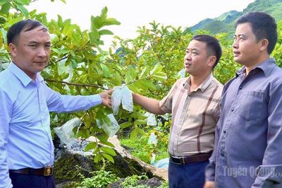 Lùng Tám phát triển nông nghiệp hàng hóa