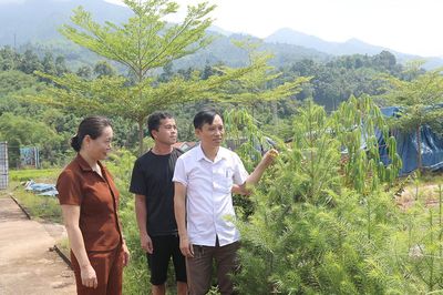 Người đi tìm hương Ngọc Am