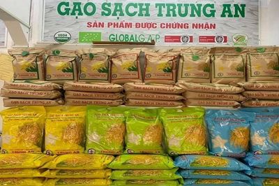 Trung An chưa thoát 'vòng xoáy' nợ vay: Doanh thu lao dốc, lợi nhuận vẫn âm