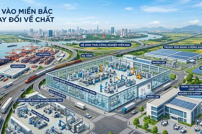 Nhiều Tập đoàn FDI chú trọng đầu tư công nghệ cao tại Việt Nam