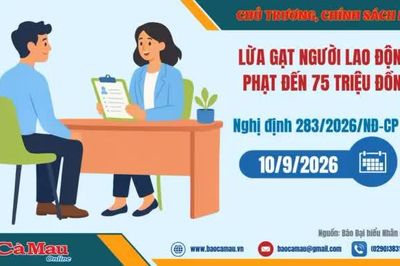 Lừa gạt người lao động: Phạt đến 75 triệu đồng