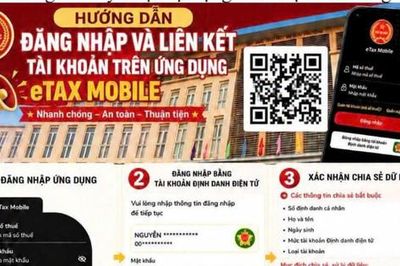 Xã Đan Phượng: Phấn đấu 100% hộ nộp thuế sử dụng đất phi nông nghiệp qua eTax Mobile