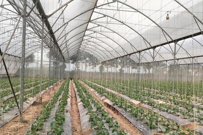 Nghị định mới về EPR: Cú hích cho kinh tế tuần hoàn trong nông nghiệp