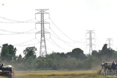 Đồng Tháp nâng cấp lưới điện trên 1.000 tỷ đồng trong năm 2026-2027