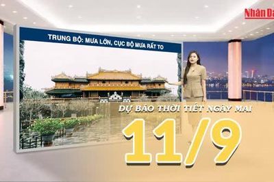 [Video] Dự báo thời tiết đêm nay và ngày mai 11/9/2026: Không khí lạnh tăng cường, mưa lớn diện rộng trên cả nước