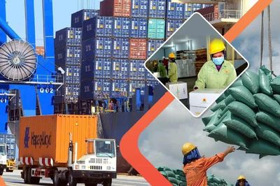 [SPOTLIGHT] Nhập siêu hơn 20 tỷ USD: Chính phủ gấp rút tháo gỡ vướng mắc xuất khẩu