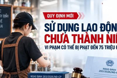 Dùng lao động chưa thành niên sai quy định, phạt đến 75 triệu đồng