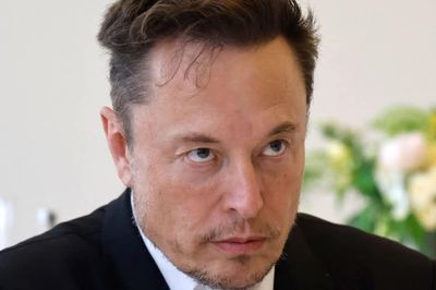 Elon Musk nổi giận
