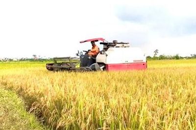 Sửa đổi một số quy định về bảo hiểm nông nghiệp