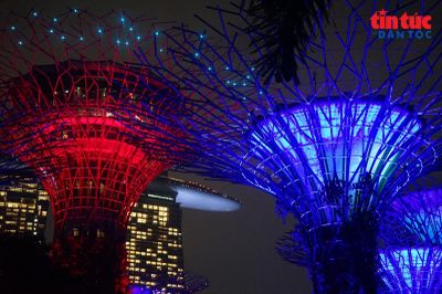 Đêm rực rỡ dưới những 'siêu cây khổng lồ' ở Singapore