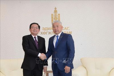 Phó Thủ tướng Hồ Quốc Dũng làm việc với Phó Thủ tướng Thường trực, Bộ trưởng Kinh tế và Phát triển Mông Cổ