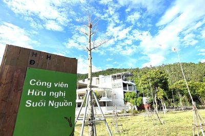 Nhiều cây xanh chết khô tại công viên trên tuyến đường lên bán đảo Sơn Trà