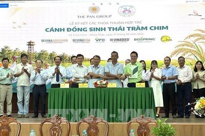 Đồng Tháp hợp tác '4 nhà' xây dựng vùng lúa sinh thái Tràm Chim