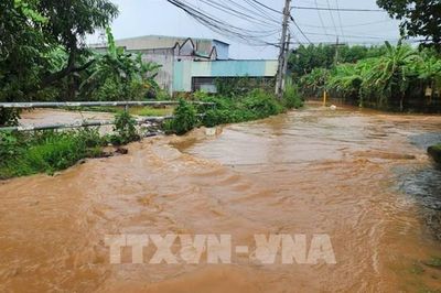 Sông Đồng Nai dâng cao, cảnh báo ngập vùng trũng