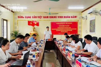Giám sát tích tụ, tập trung đất đai phát triển nông nghiệp tại xã Tượng Lĩnh