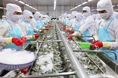 Thủy sản Việt Nam tìm thêm động lực tăng trưởng ngoài thị trường Mỹ