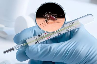 Sốt xuất huyết ở người trẻ vẫn có thể diễn tiến nặng