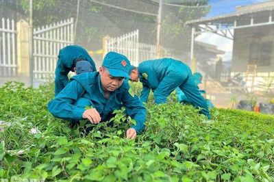 Vườn rau xanh của người lính