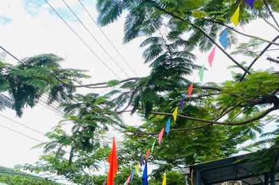 Góp sức vì cổng trường bình yên