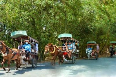 Đồng Tháp tăng cường quản lý hoạt động du lịch