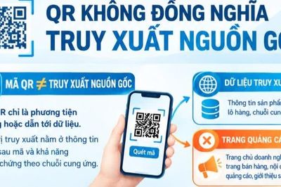 Infographic QR không đồng nghĩa truy xuất nguồn gốc