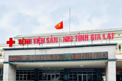 Bé gái 4 tuổi ở xã Gào tử vong do bệnh dại sau thời gian chơi, ngủ cùng mèo