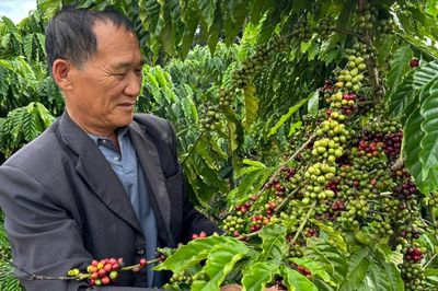 Thành Công trên vùng đất sình