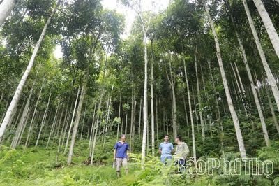 Thủ lĩnh hạ sơn - Kỳ 3: An cư để lạc nghiệp