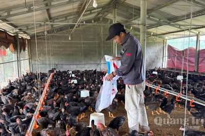 Tạo đà phát triển kinh tế trang trại