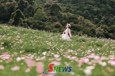 Sắc thu trên cao nguyên Mộc Châu