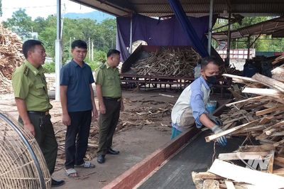 Đưa hoạt động chế biến lâm sản vào nền nếp
