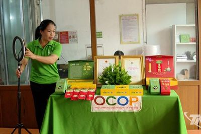 Cách làm mới trong phát triển cây chè ở Phú Thịnh
