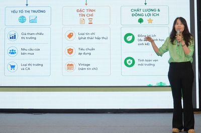 Thái Nguyên chủ động tiếp cận thị trường các-bon rừng