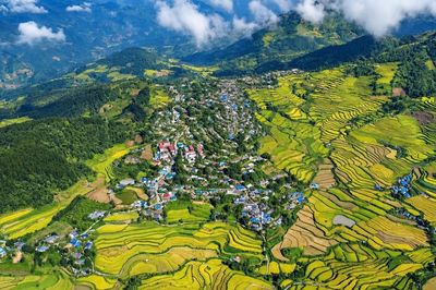 Ruộng bậc thang Tả Lèng khoe sắc vàng giữa núi rừng Lai Châu
