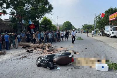 Vụ cưa cây khiến một người đi đường tử vong, ai chịu trách nhiệm hình sự?