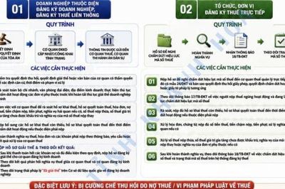 Hướng dẫn doanh nghiệp giải thể, chấm dứt hoạt động khi bị thu hồi giấy chứng nhận